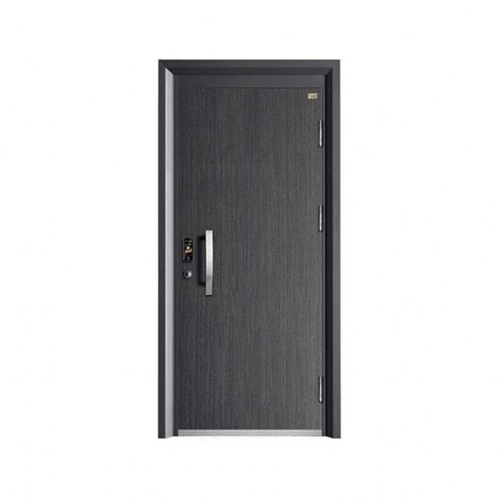 時(shí)尚青春智能門