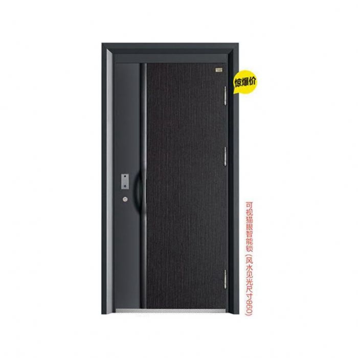 時(shí)尚青春智能門