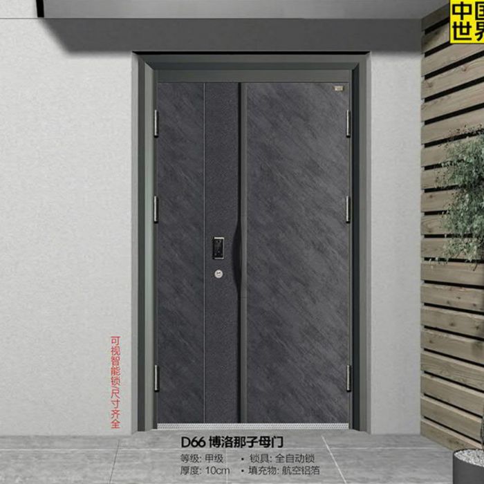 時尚青春智能門