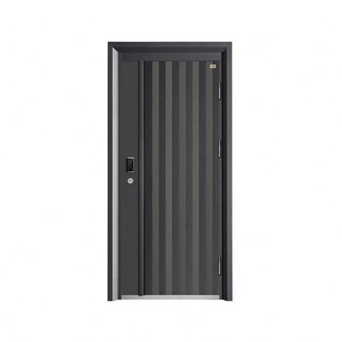 時(shí)尚青春智能門