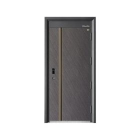 時尚青春智能門D151金晟