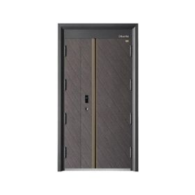 時尚青春智能門D151金晟子母門